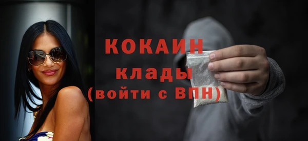 соль ск Вяземский