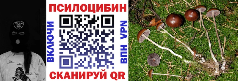 Псилоцибиновые грибы GOLDEN TEACHER  Купить где  Липки 